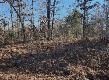 Land For Sale Arkansas | $1.00  Down payment & $39 a Month 0% Owner Financed no credit check