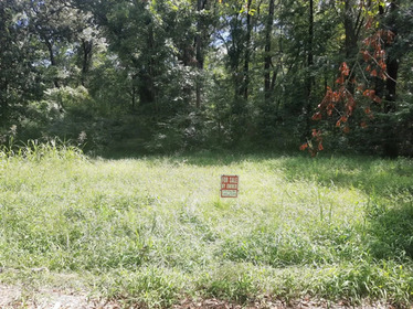 VACANT LOT READY FOR YOU IN HUTTIG, AR!