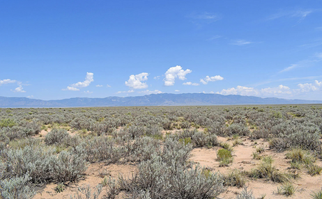 Land For Sale in New Mexico $99 Down & $29/MO 48 Months! 0% NO DOC FEE