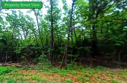 2 TRAILER LOTS SIDE BY SIDE & TINY HOME APPROVED IN AR!