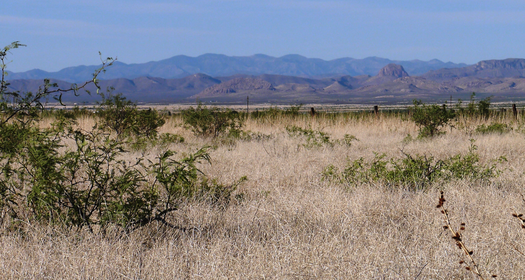 Land For Sale in Arizona  $1 DOWN PAYMENT THEN $99 a Month OFF GRID ALLOWED